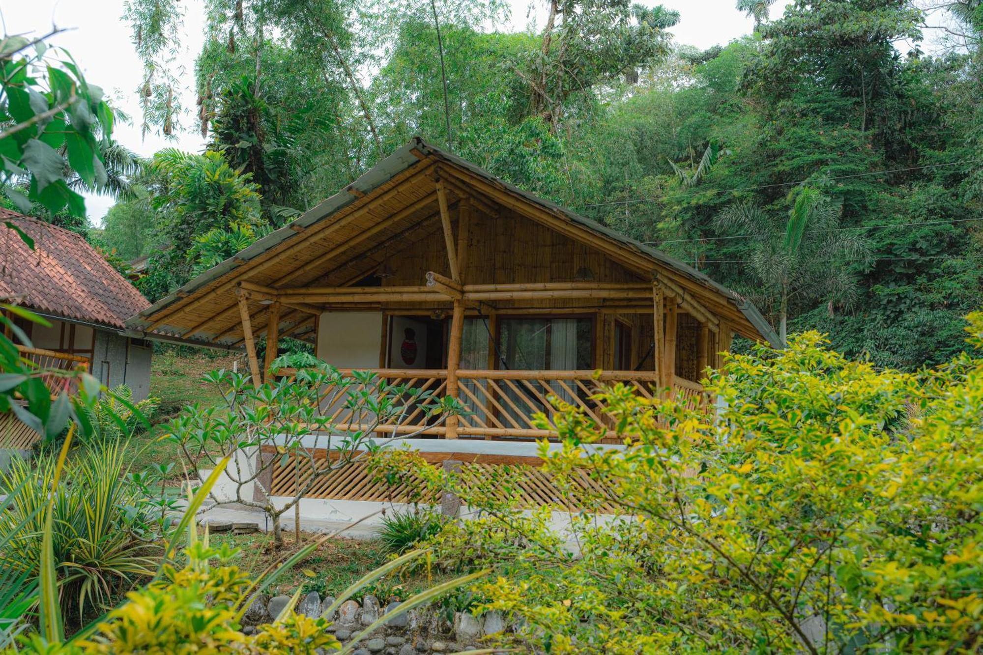 Finca Las Palmas Ecolodge Puyo Luaran gambar