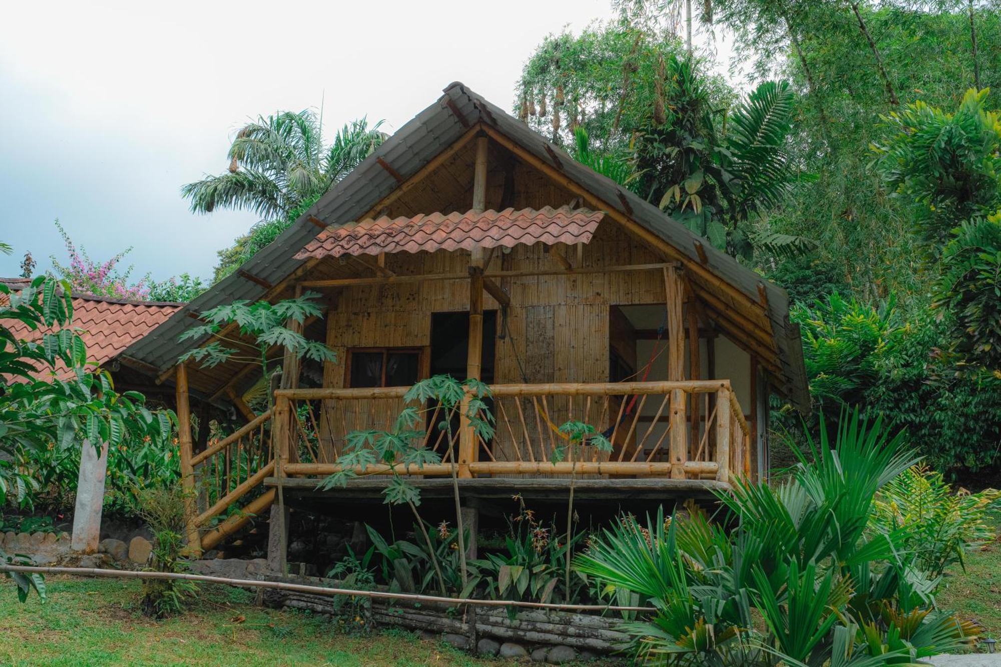 Finca Las Palmas Ecolodge Puyo Luaran gambar