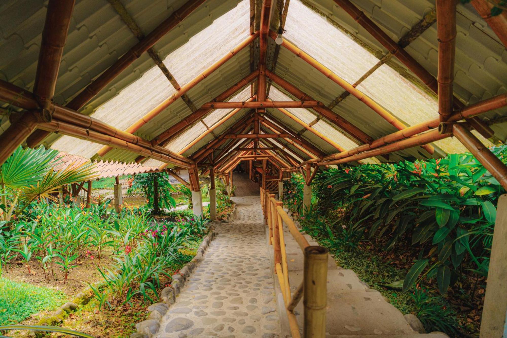 Finca Las Palmas Ecolodge Puyo Luaran gambar