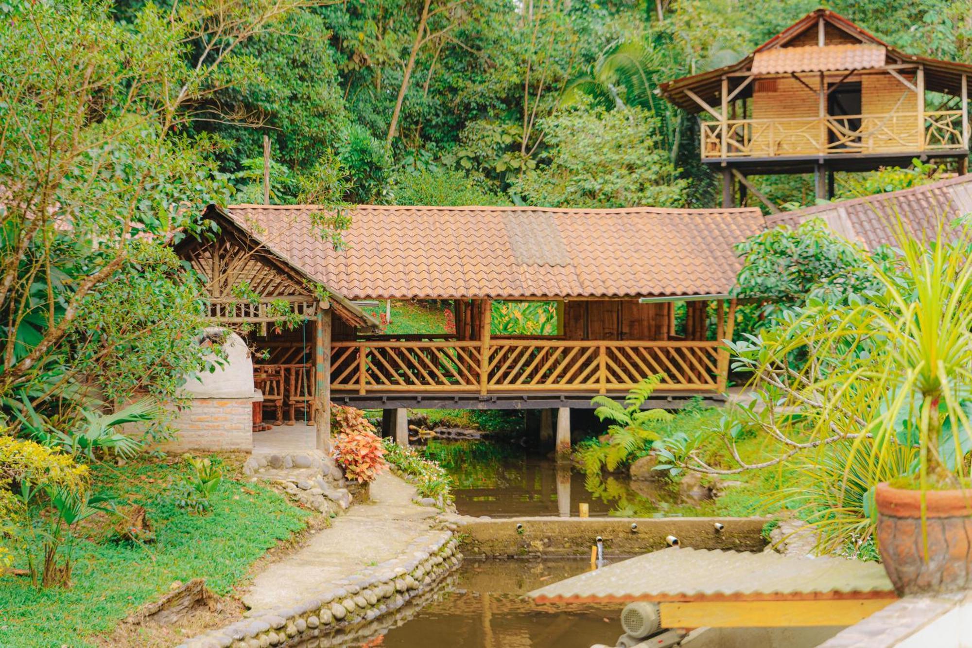 Finca Las Palmas Ecolodge Puyo Luaran gambar
